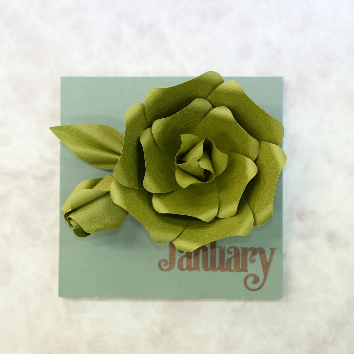 1月の誕生月花
