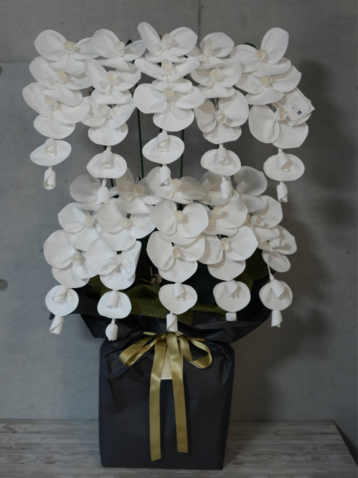 2026 SuperFlower 胡蝶蘭(10万円/10連仕様)