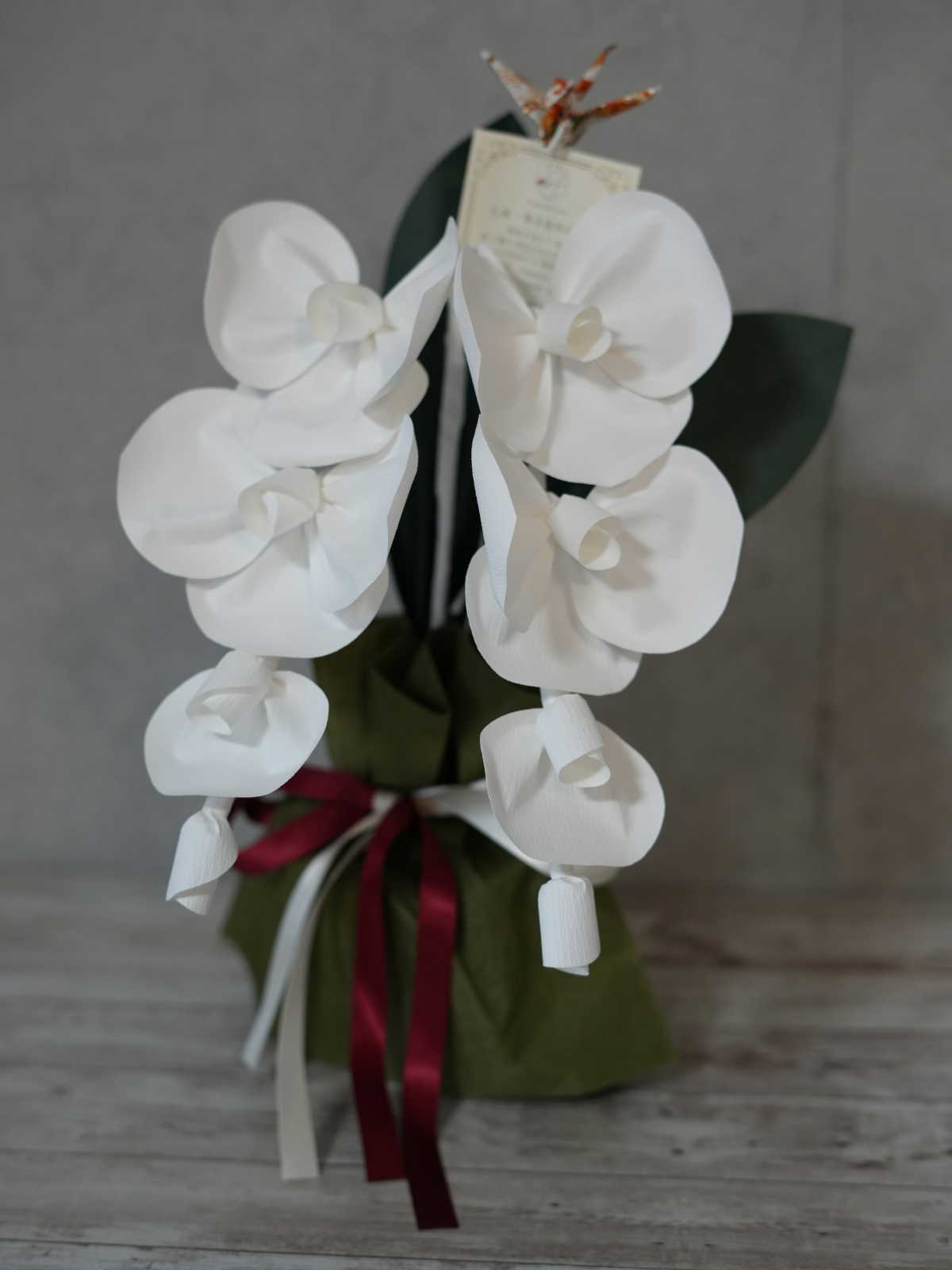 2026 SuperFlower 胡蝶蘭（万博迎賓館モデル／1万円）