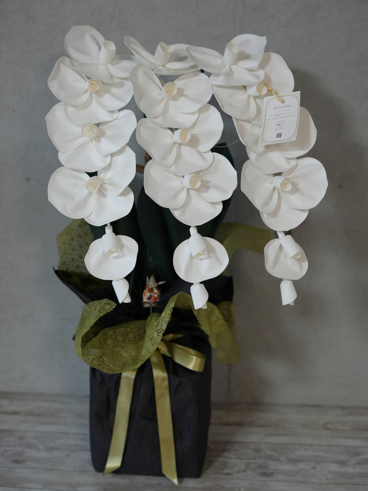 2026 SuperFlower 胡蝶蘭（2万円）