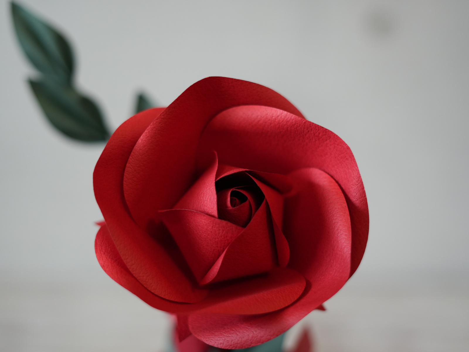 薔薇 -ROSE- SS｜花職人が咲かせる一輪の芸術