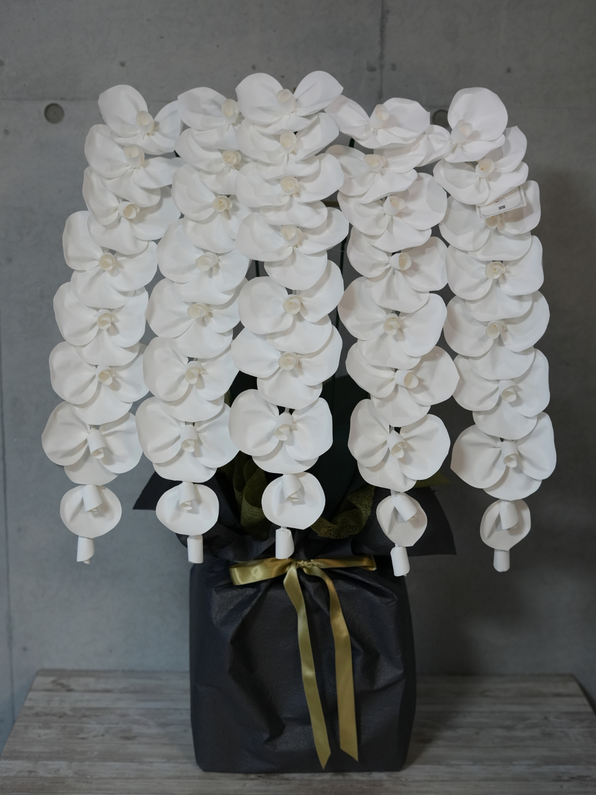 2026 SuperFlower 胡蝶蘭｜7万円ギフト（5連仕様）